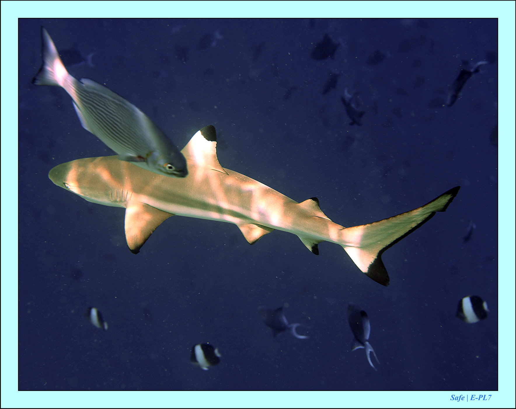 2023 - 07 - Sandies Bathala - 192